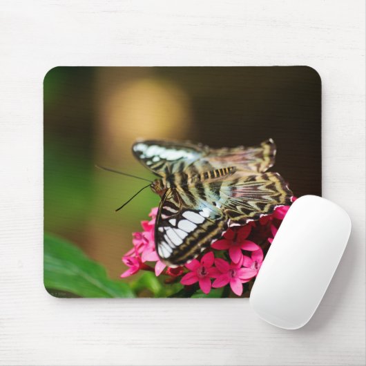 Tapis De Souris Clipper sur Pentas 3 Mousepad (Avec souris)