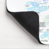 Tapis De Souris Clonage moléculaire utilisant des bactéries et des (Coin)
