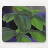 Tapis De Souris Closeup de Basil frais (Devant)