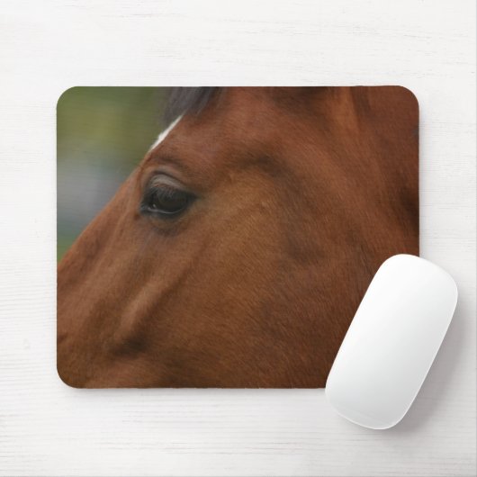 Tapis De Souris Closeup de Bay Horse (Avec souris)