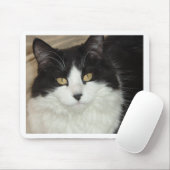 Tapis De Souris Closeup de chat noir et blanc (Avec souris)