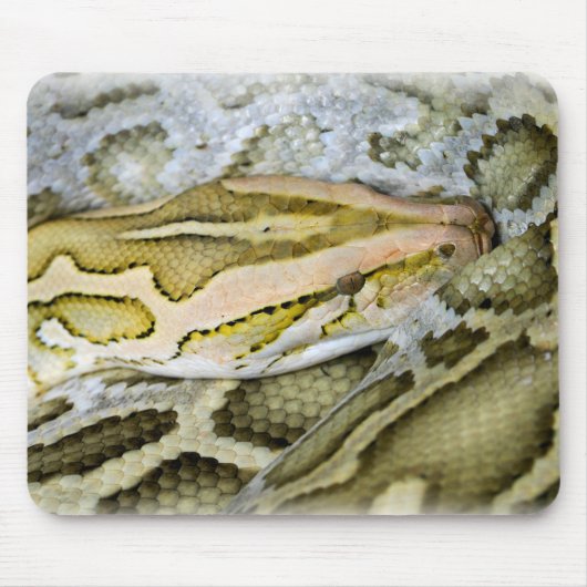Tapis De Souris Closeup de python indien (Devant)
