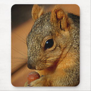 Tapis De Souris Closeuse d'écureuil avec la noix