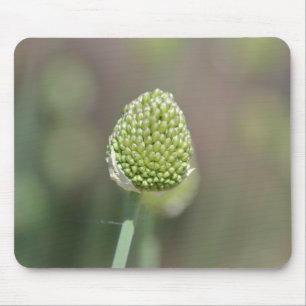 Tapis De Souris Clover