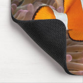 Tapis De Souris Clown Fish (Coin)