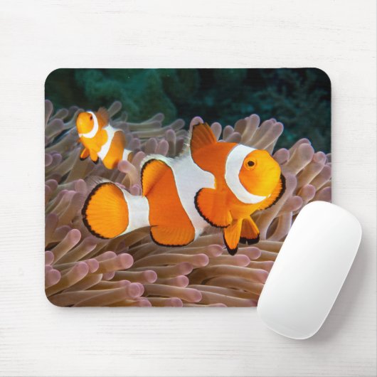Tapis De Souris Clown Fish (Avec souris)