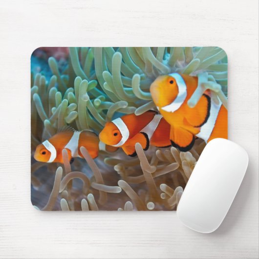 Tapis De Souris Clownfish (Avec souris)