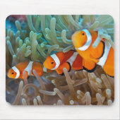 Tapis De Souris Clownfish (Devant)