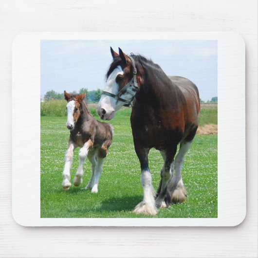 Tapis De Souris Clydesdale et pouliche (Devant)