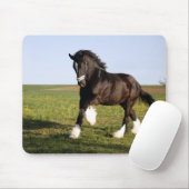 Tapis De Souris Clydesdale Horse (Avec souris)