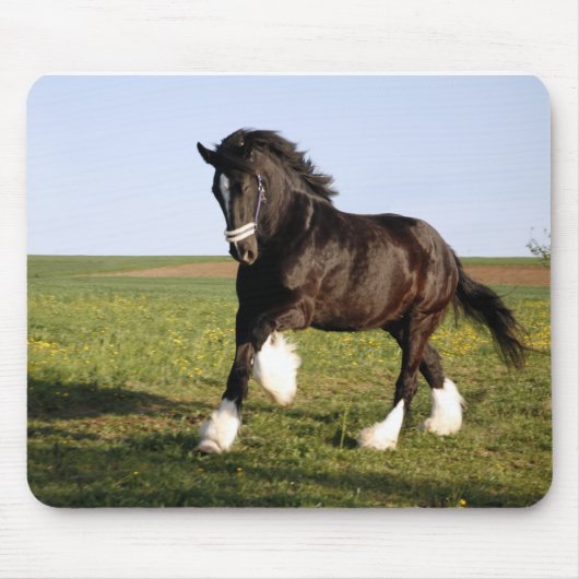 Tapis De Souris Clydesdale Horse (Devant)