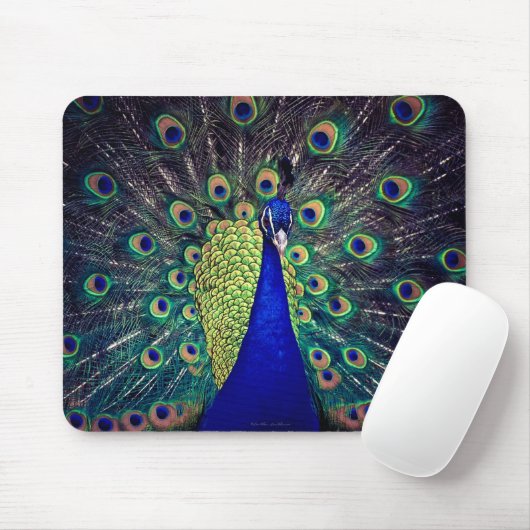 Tapis De Souris Cobalt Blue Peacock (Avec souris)
