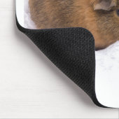 Tapis De Souris cobaye (Coin)