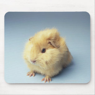 Tapis De Souris Cobaye crème