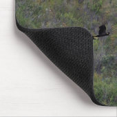 Tapis De Souris Cocatoos noirs à queue jaune rare (Coin)