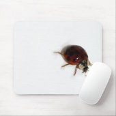 Tapis De Souris Coccinelle (Avec souris)