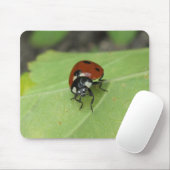 Tapis De Souris Coccinelle amicale Mousepad (Avec souris)