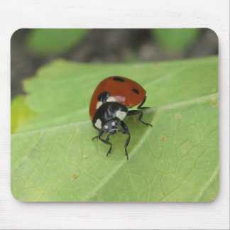 Tapis De Souris Coccinelle amicale Mousepad