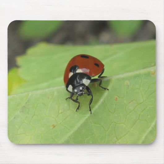 Tapis De Souris Coccinelle amicale Mousepad (Devant)
