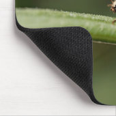 Tapis De Souris Coccinelle Insecte (Coin)