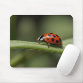 Tapis De Souris Coccinelle Insecte (Avec souris)