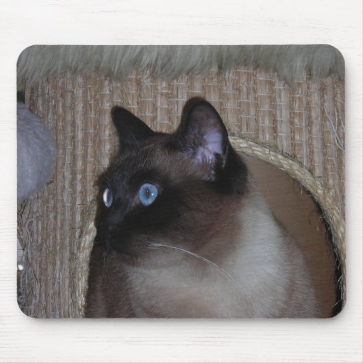 Tapis De Souris Coccinelle Mousepad (Devant)