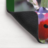 Tapis De Souris Coccinelle Mousepad (Coin)