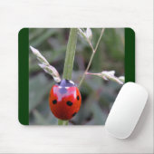 Tapis De Souris Coccinelle Mousepad (Avec souris)