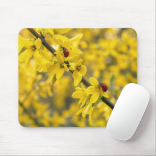 Tapis De Souris Coccinelles sur branche de Forsythia jaune