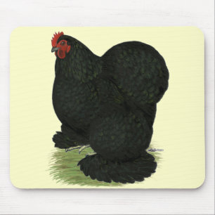 Tapis De Souris Cochin : Hen noir
