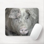 Tapis De Souris Cochon (Avec souris)