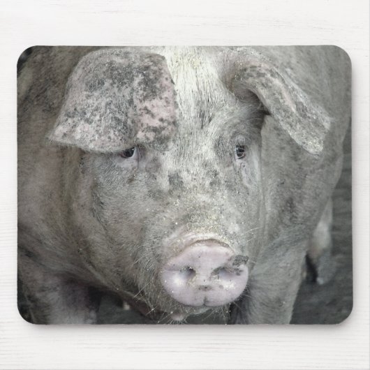 Tapis De Souris Cochon (Devant)