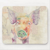 Cochon de collier de la ferme