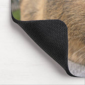 Tapis De Souris Cochon de Guinée Agouti et fleur rose (Coin)