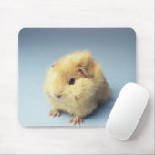 Tapis De Souris Cochon de Guinée couleur crème (Avec souris)