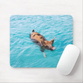 Tapis De Souris Cochon de natation d'Exuma (Avec souris)