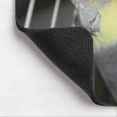 Tapis De Souris Cockatiel MOUSE PAD (Coin)
