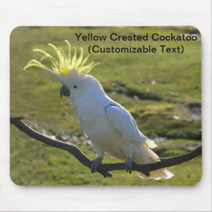 Tapis De Souris Cockatoo à pois de soufre jaune australien