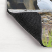 Tapis De Souris Cockatoos (Coin)