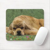 Tapis De Souris Cocker américain (Avec souris)