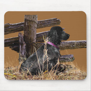 Tapis De Souris Cocker anglais