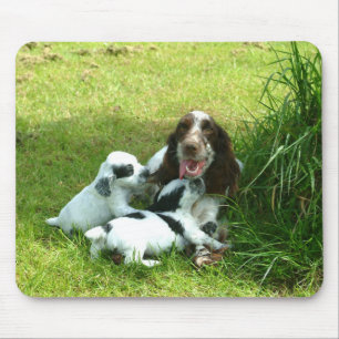 Tapis De Souris Cocker et chiots anglais Mousepad