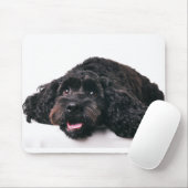 Tapis De Souris cocker poodé mélange chiot mousepad (Avec souris)
