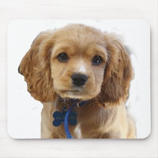 Tapis De Souris Cocker spaniel (Devant)