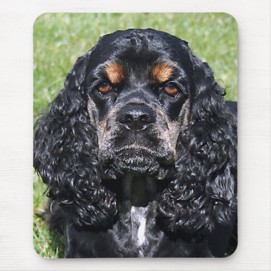 Tapis De Souris Cocker Spaniel (Devant)