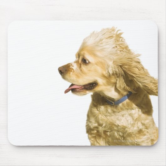 Tapis De Souris Cocker Spaniel (Devant)