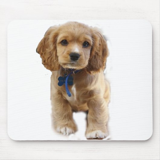 Tapis De Souris Cocker spaniel (Devant)