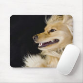 Tapis De Souris cocker spaniel mix sur son dos (Avec souris)