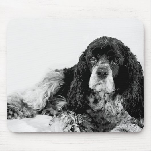 Tapis De Souris Cocker Spaniel noir et blanc Pad (Devant)