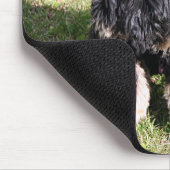 Tapis De Souris Cocker Spaniel Photo (Coin)